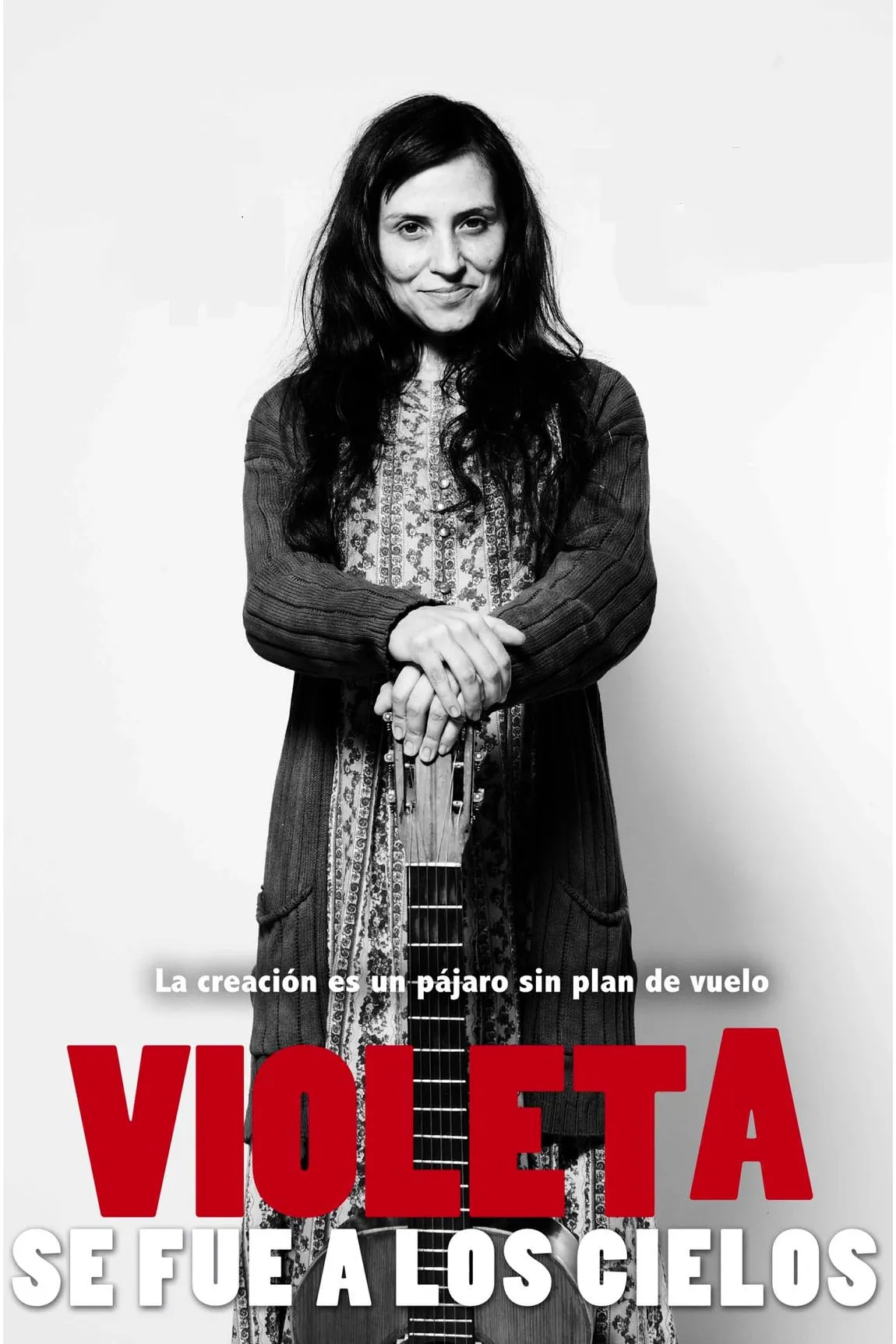 Violeta Went to Heaven poster