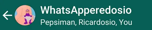 Screenshot van de titel van een Whatsappgroep genaamd: WhatsApperedosio. Dit is een verwijzing naar de uitspraak Sapperedosio van Purno de Purno.