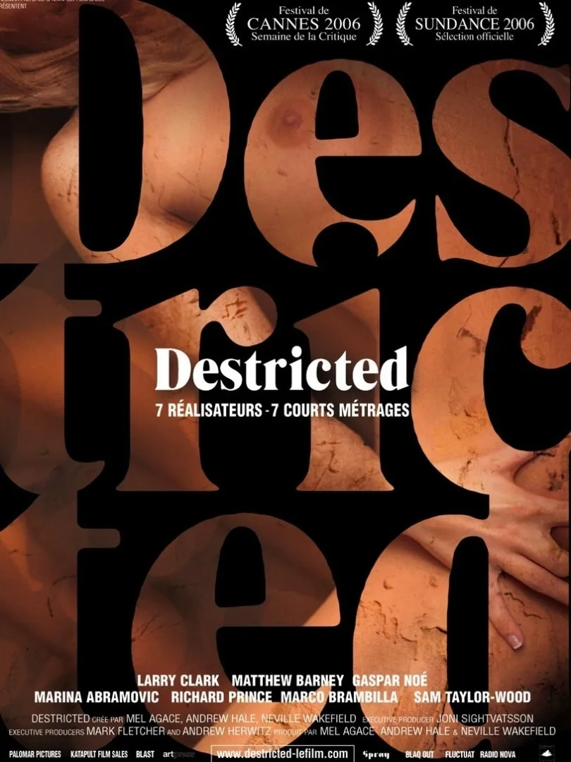 Destricted poster