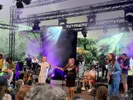 De Niemanders - 50 jaar Plak Festival
