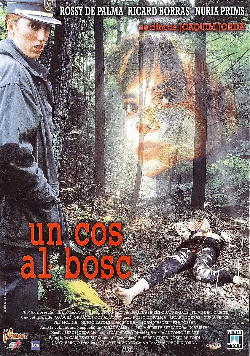 Un cos al bosc poster