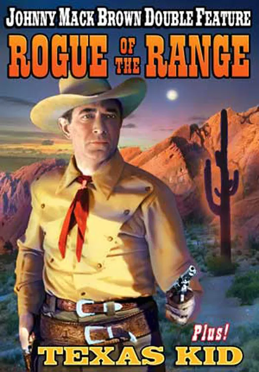 Rogue of the Range poster