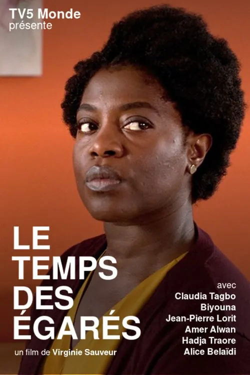 Le temps des égarés poster