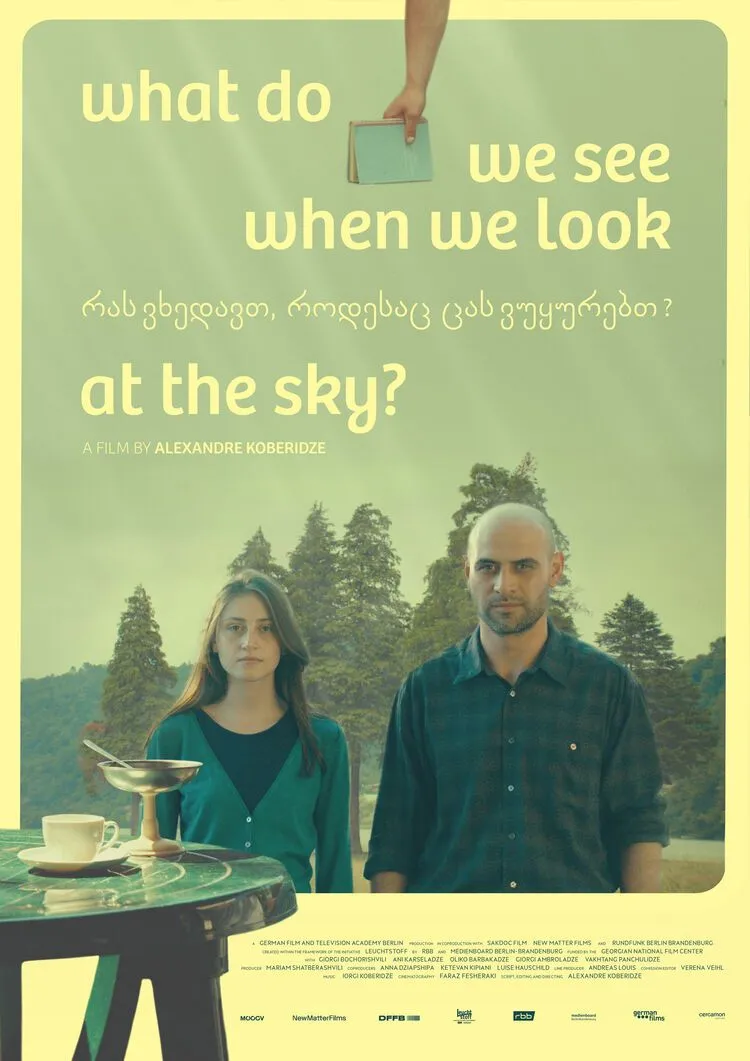 What Do We See When We Look at the Sky? poster
