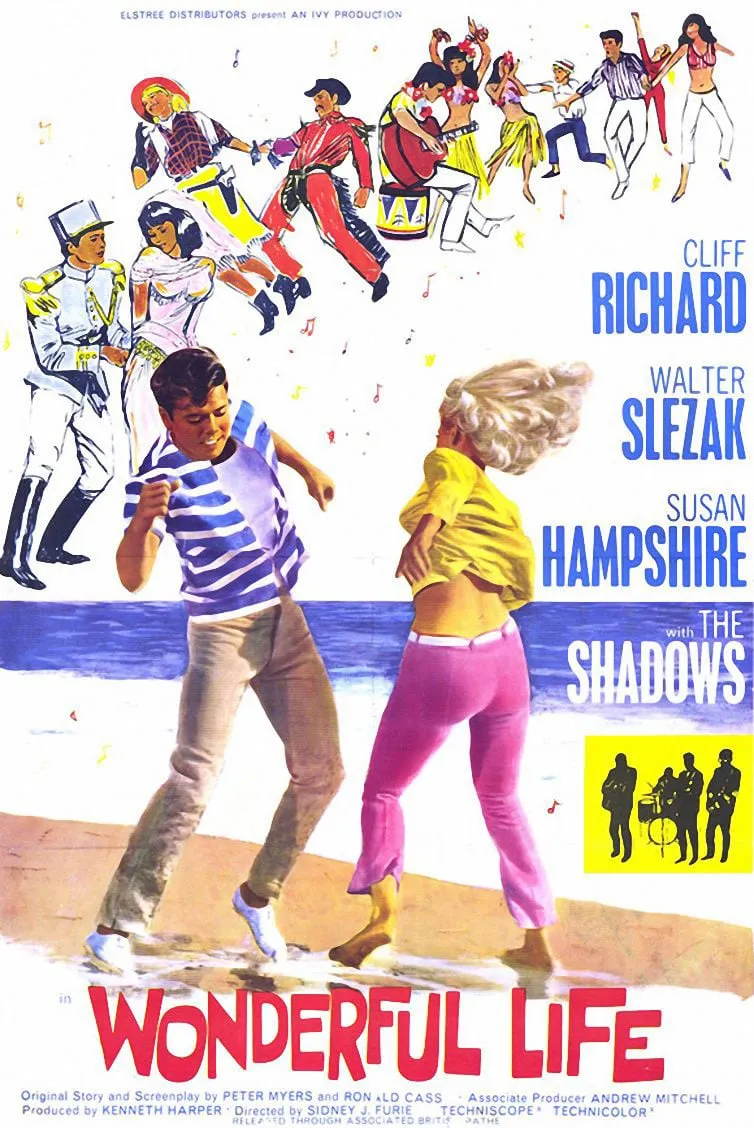 Wonderful Life poster