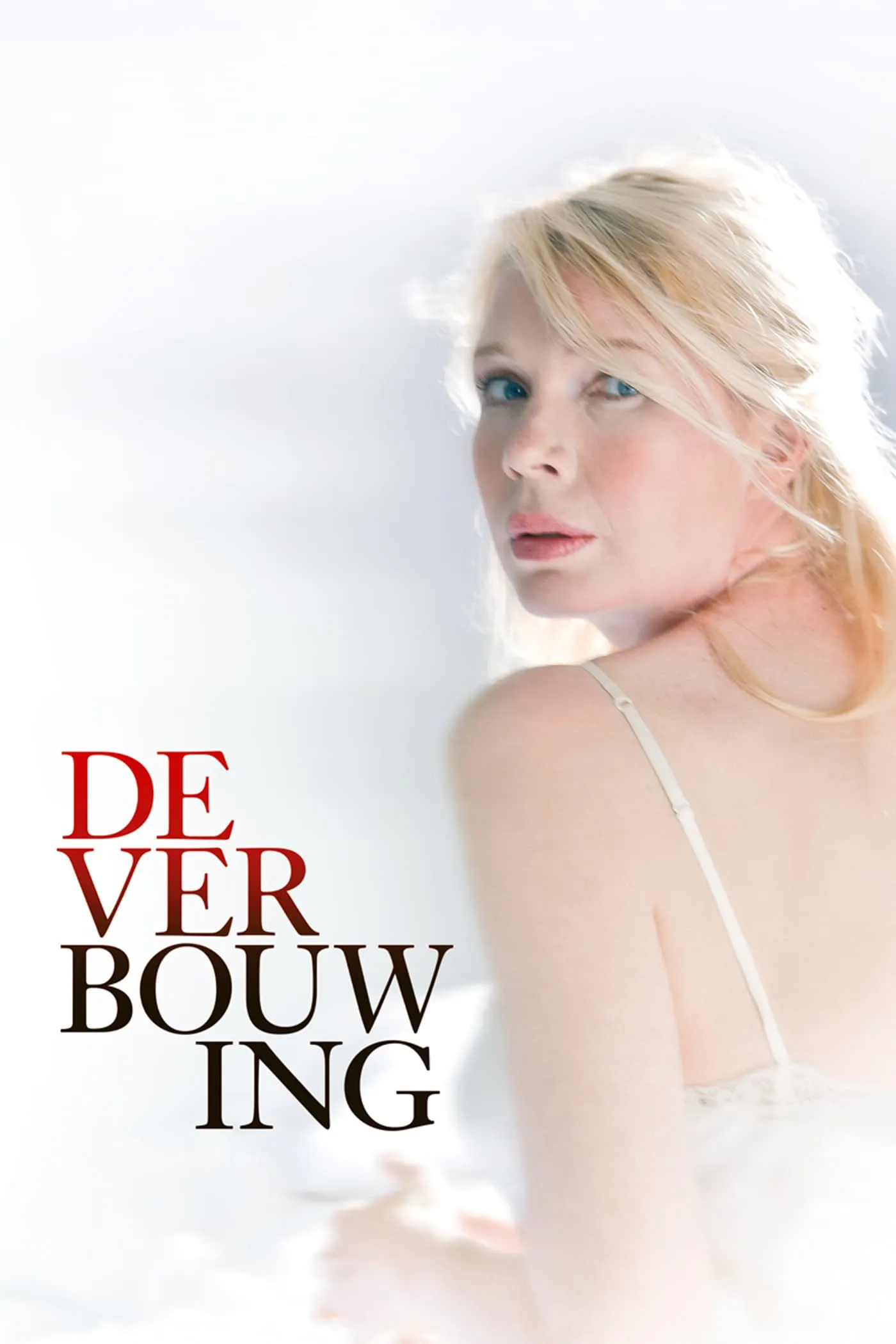 De verbouwing poster