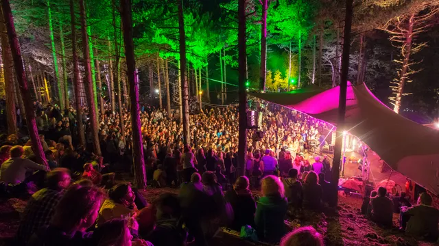 Into the Great Wide Open - Juri Hiensch