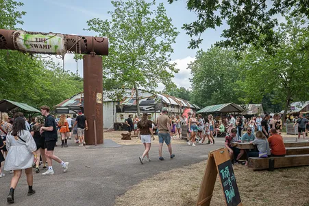 Down The Rabbit Hole