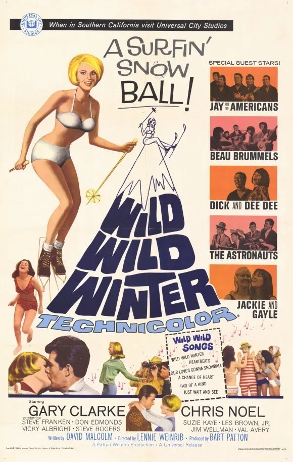 Wild Winter Wild poster