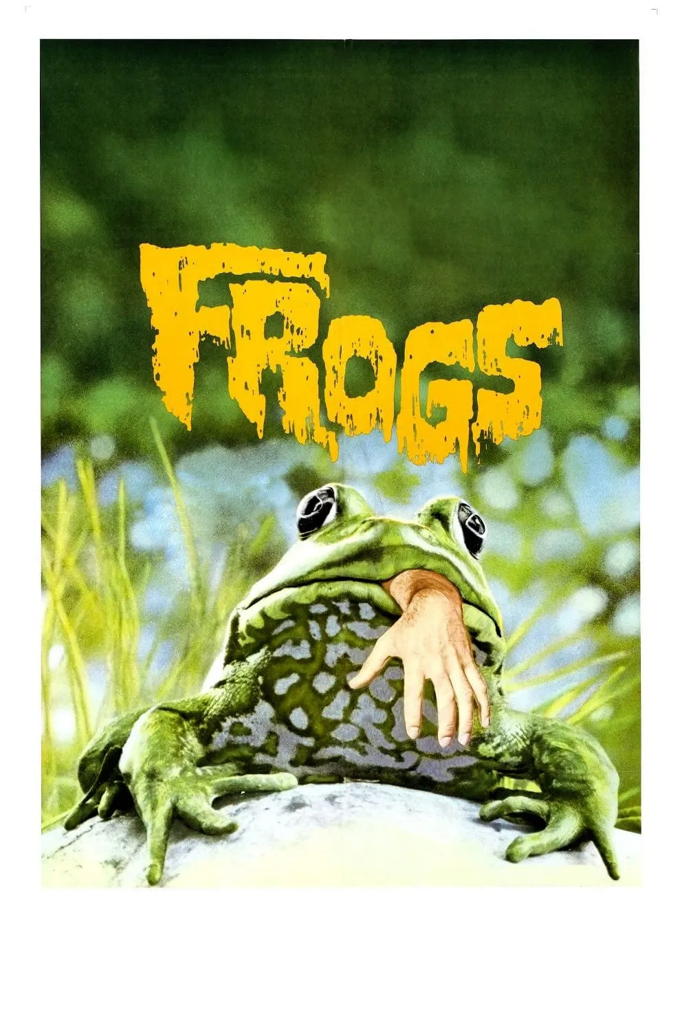 Frogs poster