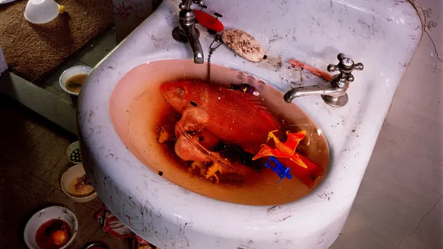 'Culturele broedplaatsen'