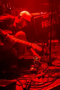 Feral