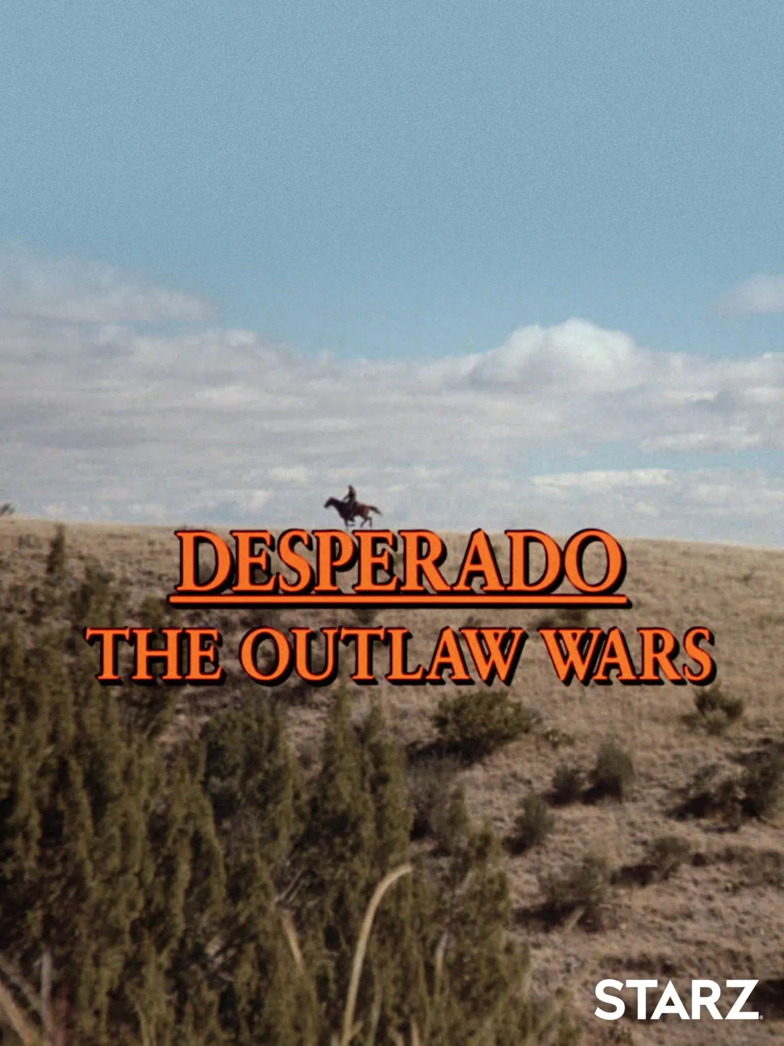 Desperado: The Outlaw Wars poster