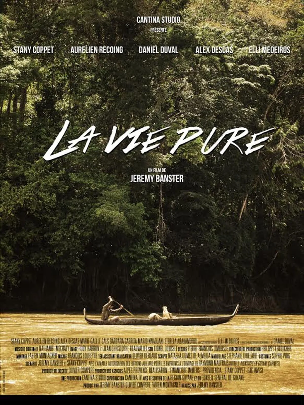 La vie pure poster