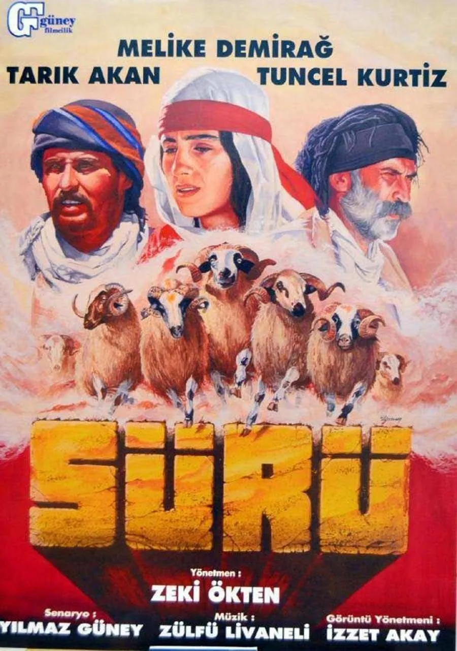 Sürü poster