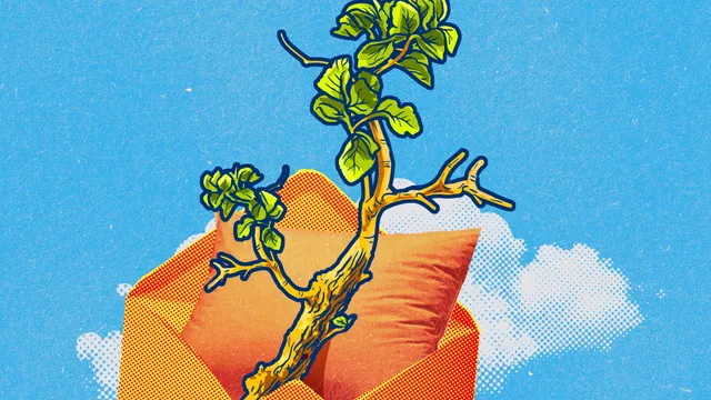 Achterwerk, podcast s2