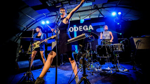 Bodega op Lowlands 2019