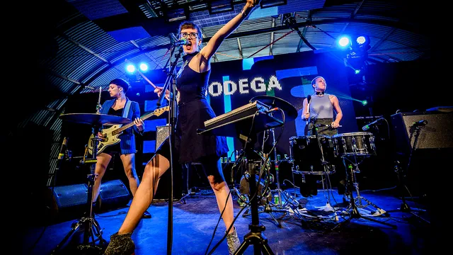 Bodega op Lowlands 2019