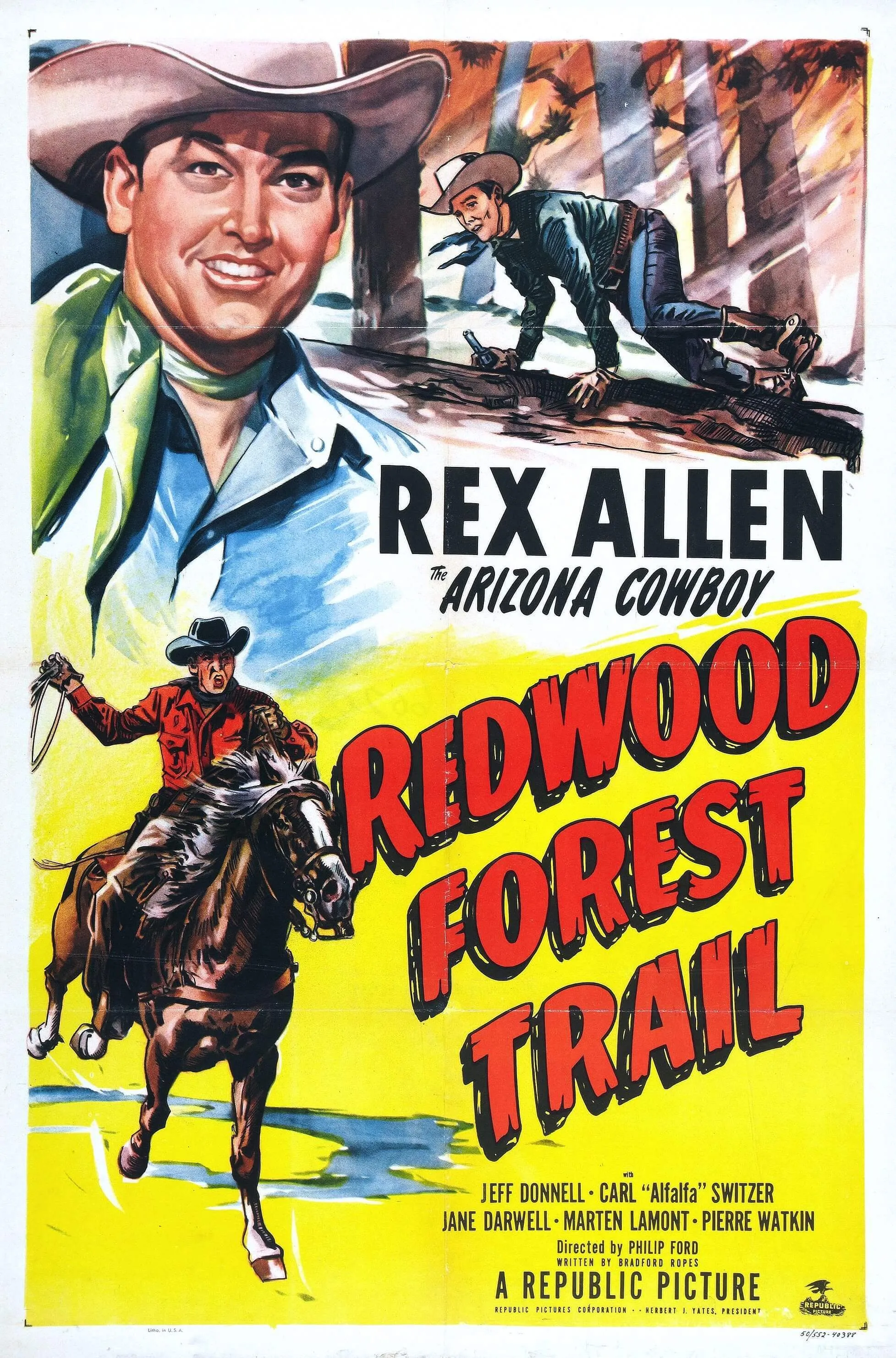 Redwood Forest Trail poster