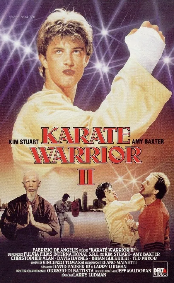 Il ragazzo dal kimono d'oro 2 poster