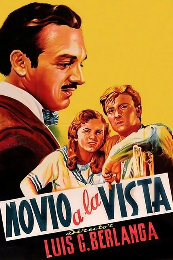 Novio a la vista poster