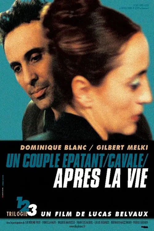 Après la vie poster