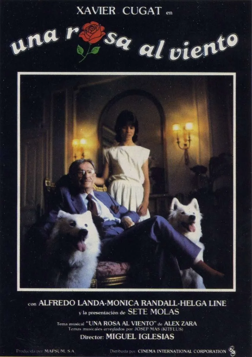 Una Rosa al viento poster