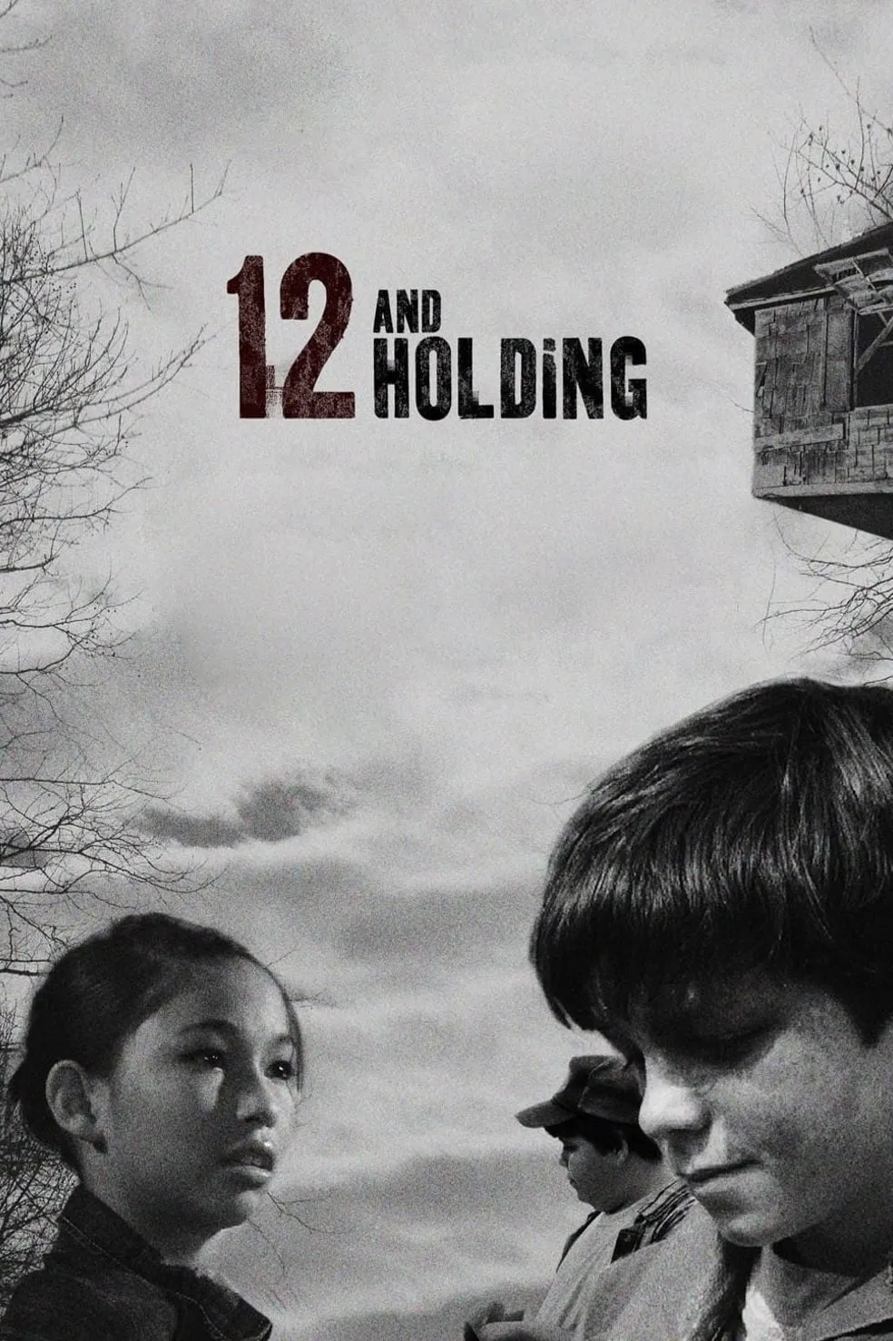 Twelve and Holding poster