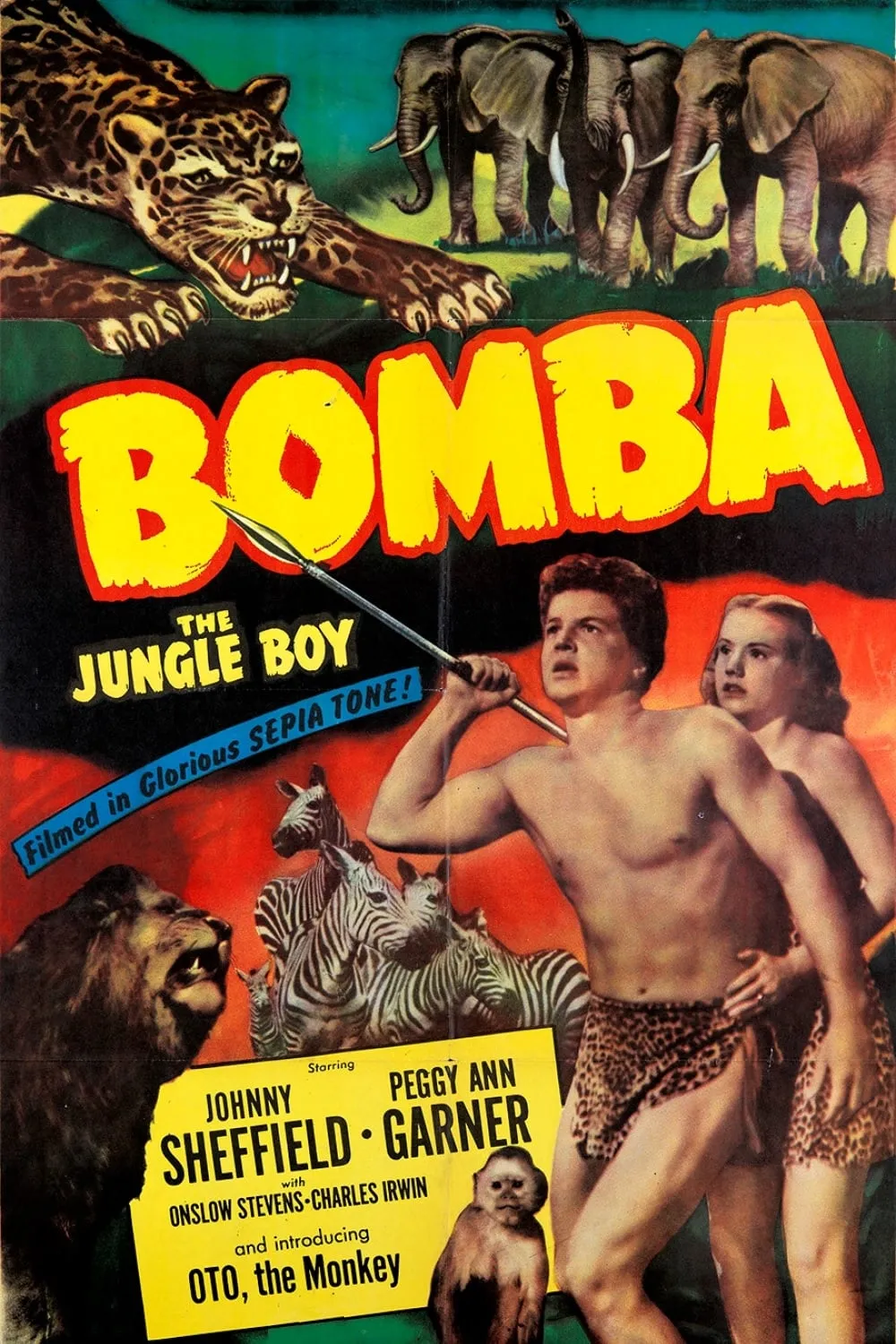 Bomba The Jungle Boy poster