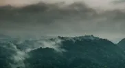 Storm over the rainforest