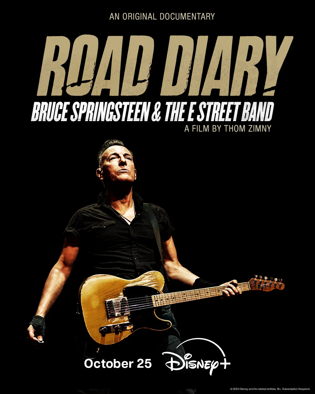 ROAD DIARY: BRUCE SPRINGSTEEN AND THE E STREET BAND poster