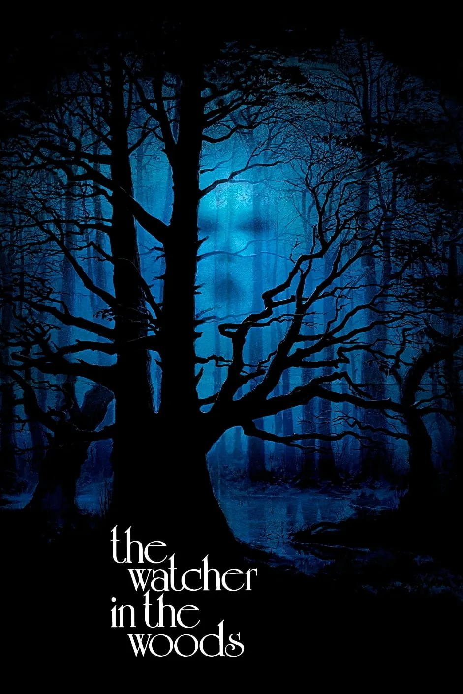 The Watcher in the Woods poster