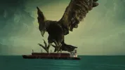 vogel