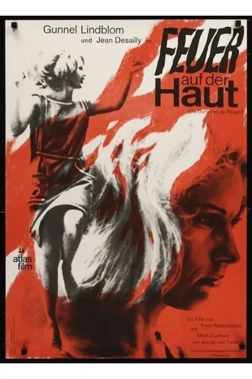 De Dans van de Reiger poster