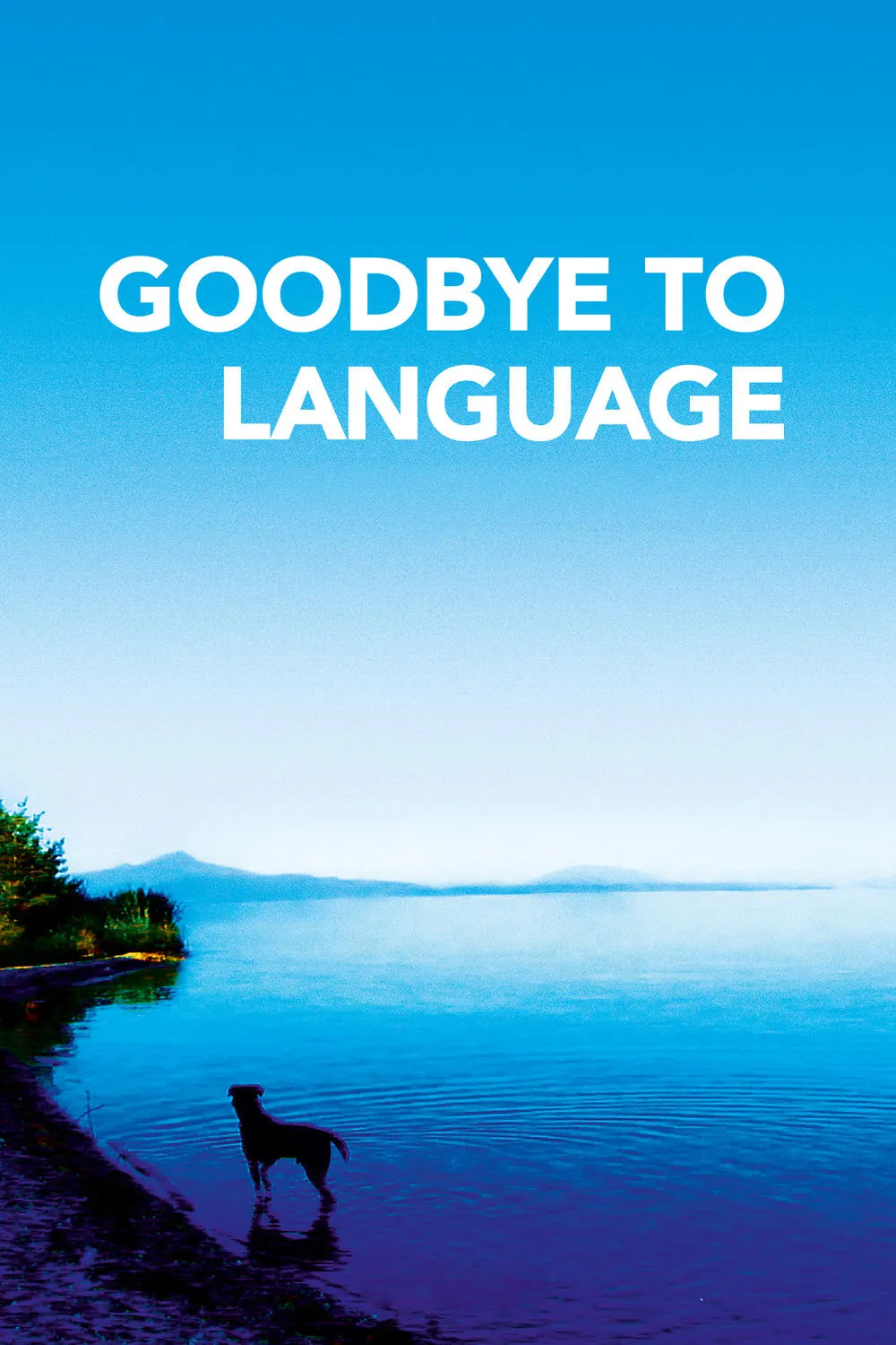 Adieu au langage poster