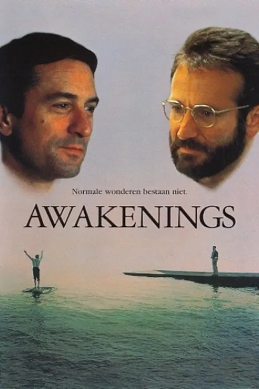 Awakenings poster