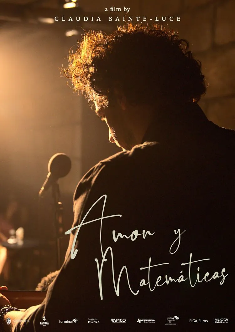 Amor y matemáticas poster