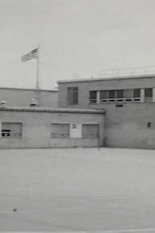 Flat Is Beautiful poster