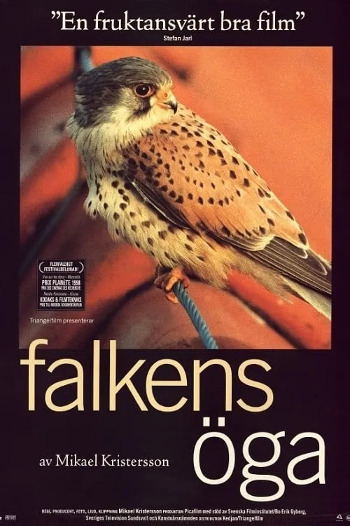 Falkens Öga poster