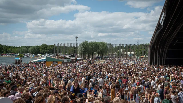 Down The Rabbit Hole