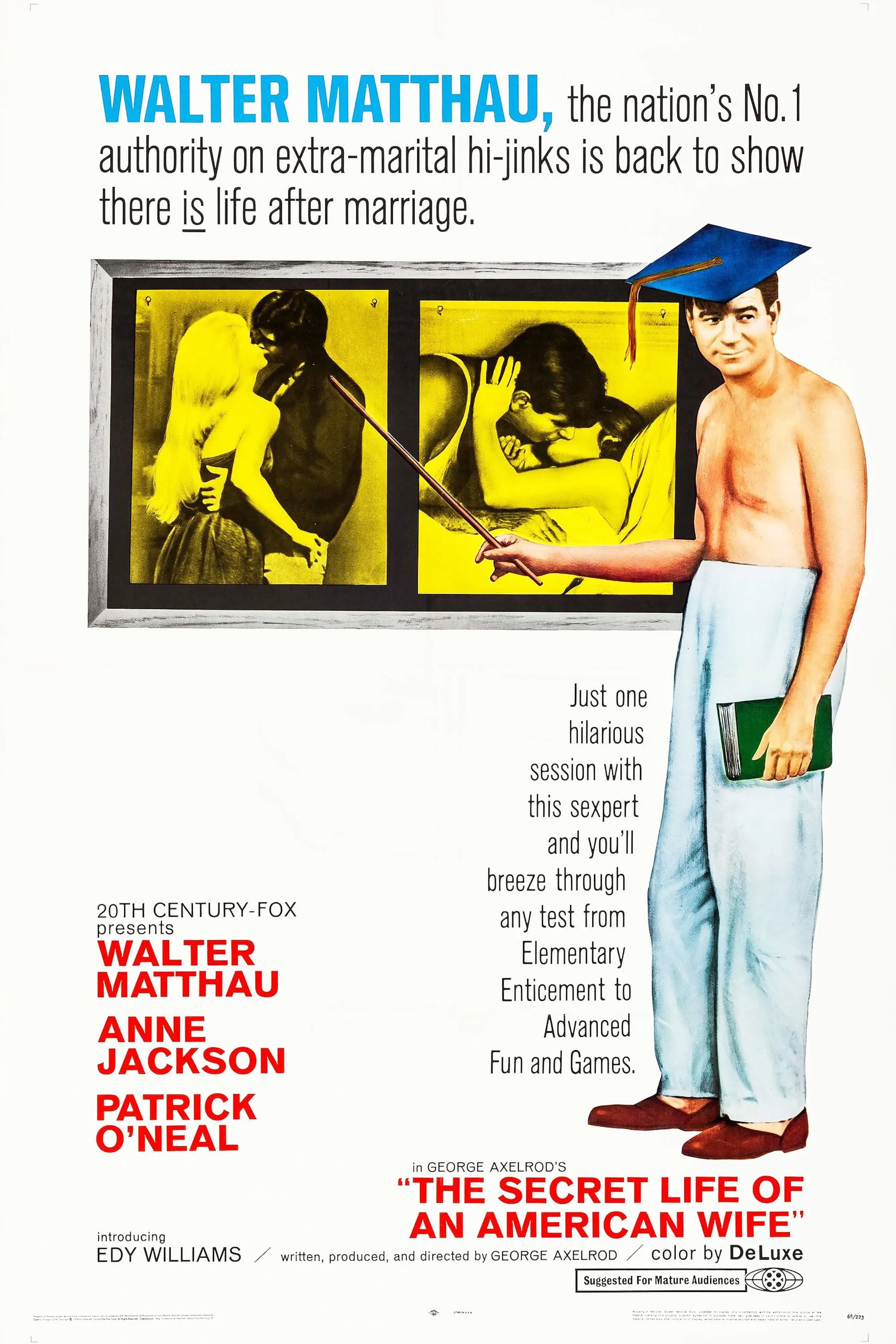 The Secret Life of an American Wife poster