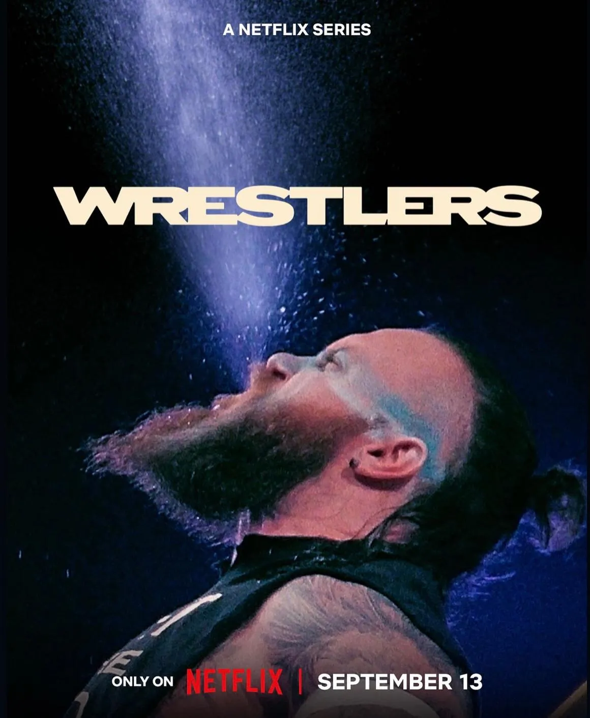 Wrestlers poster