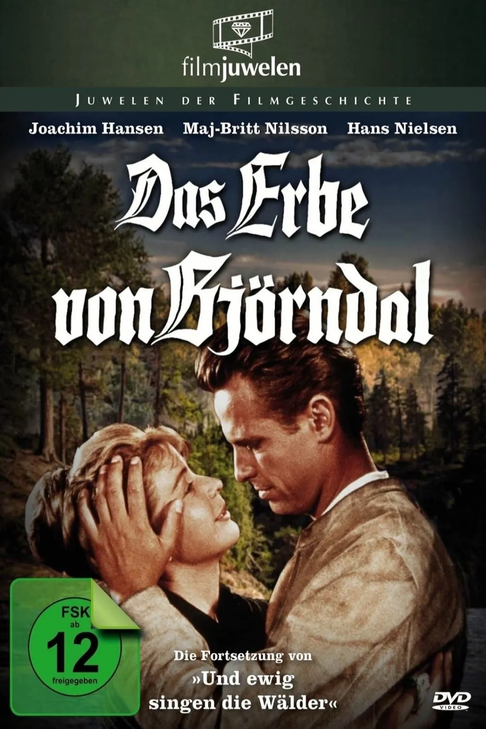 Das Erbe von Björndal poster