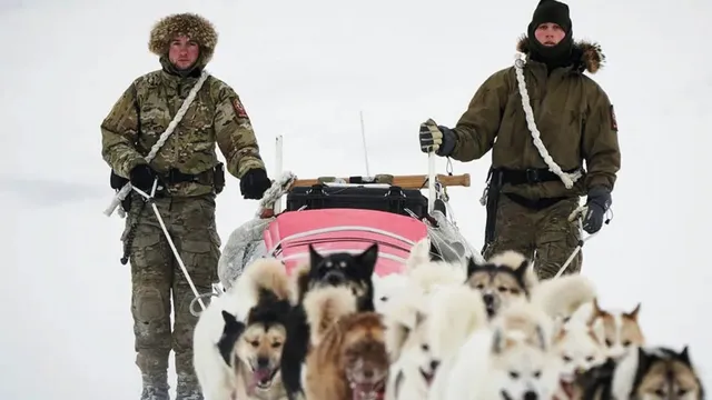 mensen in de sneeuw met sleehonden, in Groenland