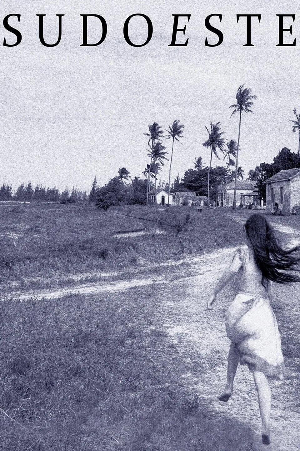 Sudoeste poster