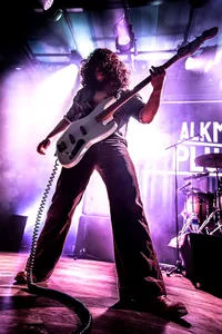 Alkmaar Plugged