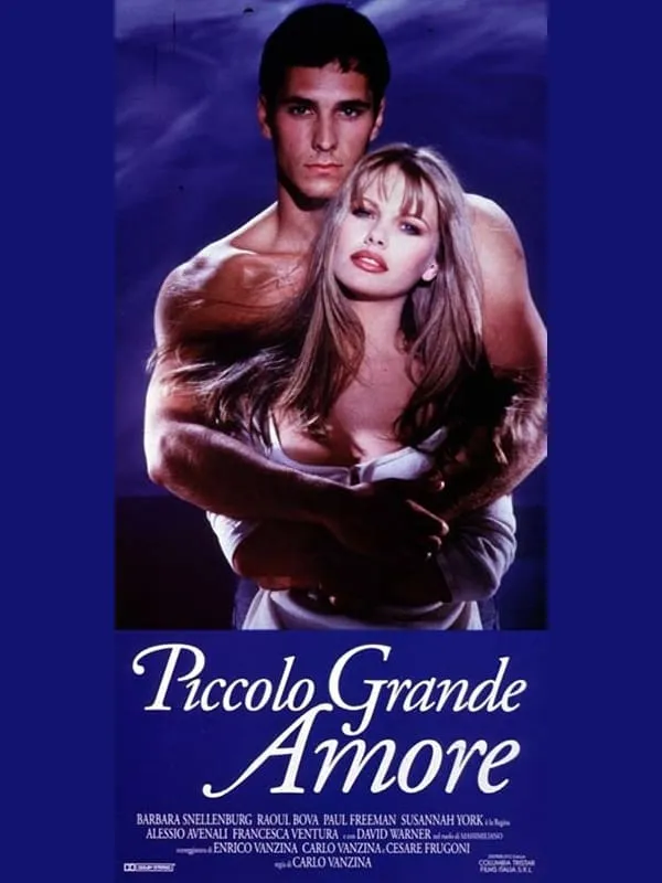 Piccolo grande amore poster