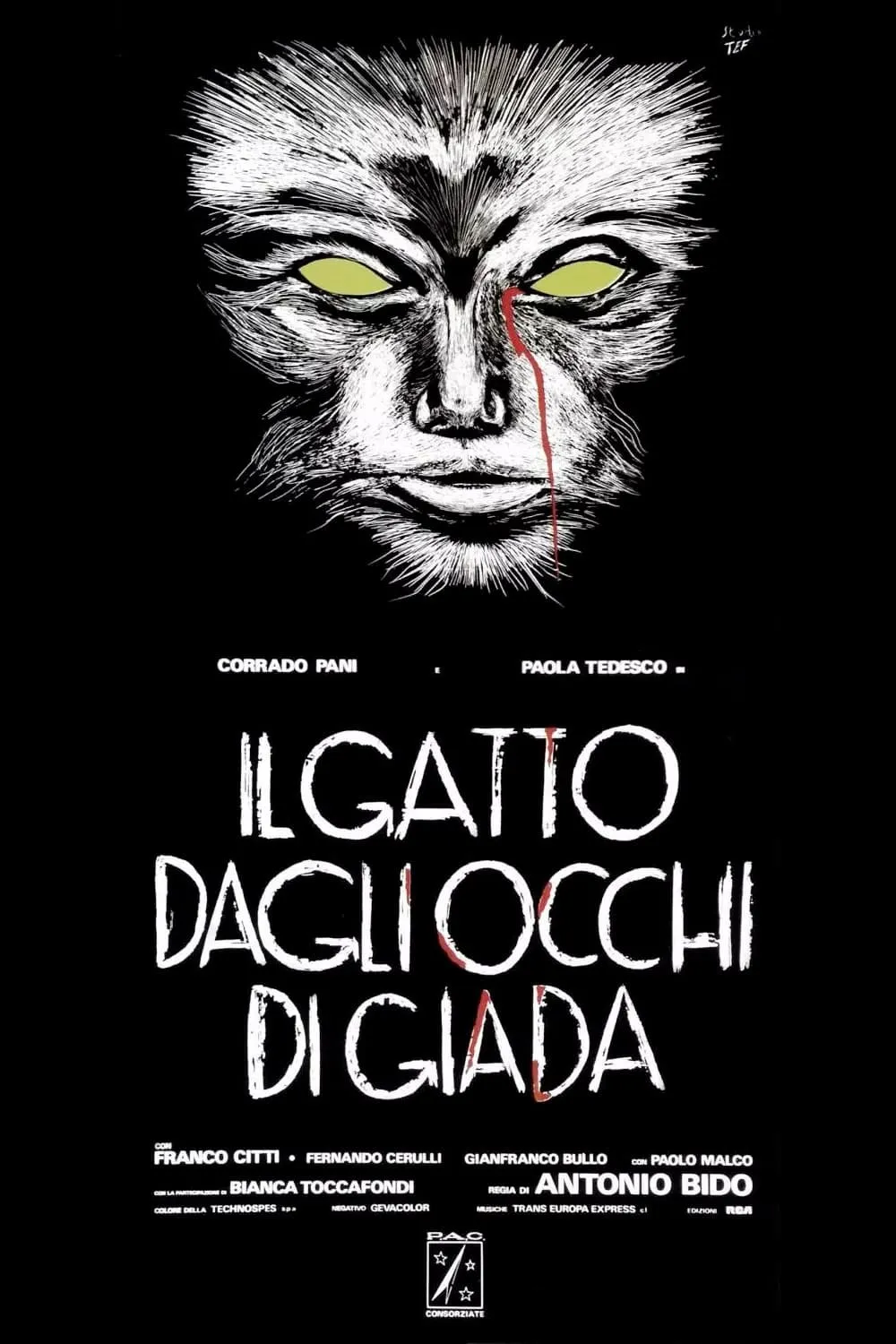 Il Gatto dagli occhi di giada poster