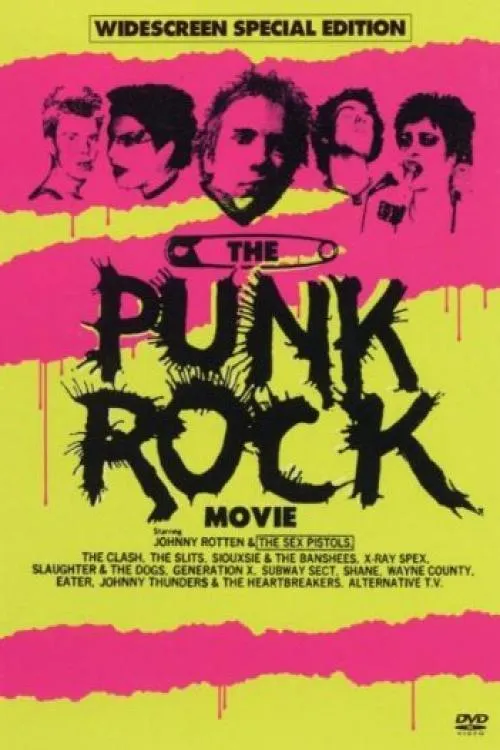 The Punk Rock Movie poster