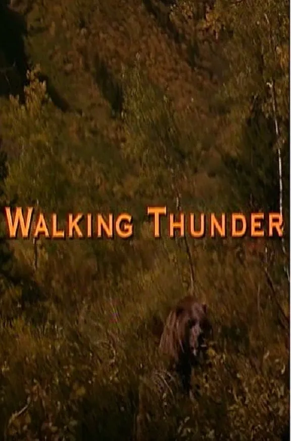 Walking Thunder poster